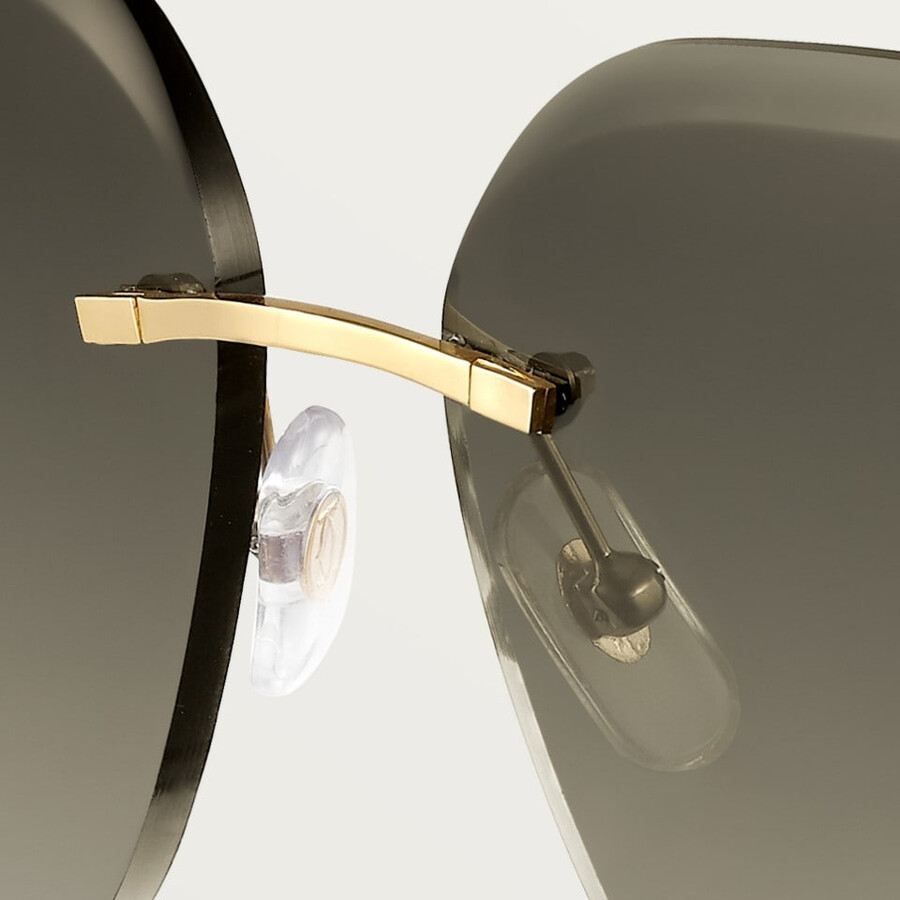 panthère de cartier sonnenbrille