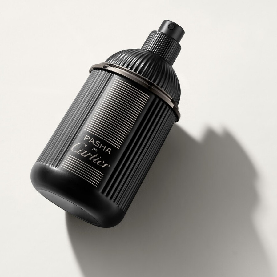 pasha noir absolu limited edition